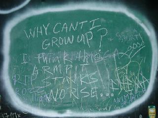chalkboard liberation (detail)