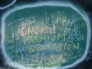 chalkboard liberation (detail)