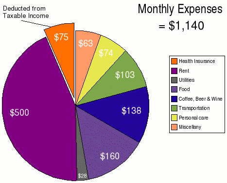 My major monthly expenses, constituting almost 75% of my total monthly expenses, are rent, food, and drink