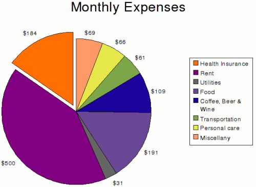 My major taxable monthly expenses, constituting almost 75% of my total monthly expenses, are rent, food, and drink