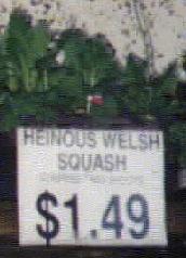 Heinous Welsh Squash