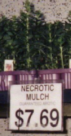 Necrotic Mulch
