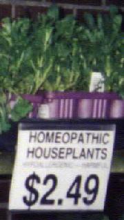 Homeopathic Houseplants