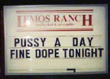 Fine Dope Tonight