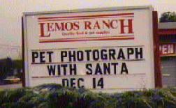 Pet Photograph With Santa